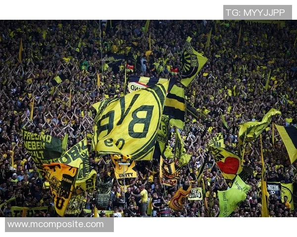 利华古逊与汉堡激战正酣谁能在德甲赛场笑到最后